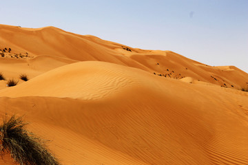 Fototapeta na wymiar landscape view of dune sands at wahiba sands muscat oman