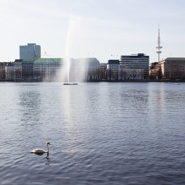 Binnenalster in Hamburg mit Fontäne, Schwan und Fernsehturm