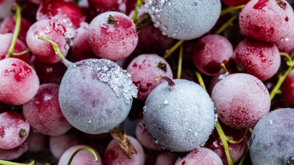 Frozen red currant berries and gooseberry, top view, macro