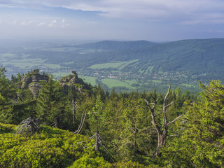 Jizera Mountains (jizerske hory) panorama, view from hill Frydlantske cimburi, Friedlander Zinne with lush green spruce forest and blue sky, white clouds background, springtime