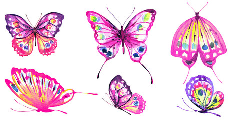 beautiful color butterflies, set, watercolor,  isolated  on a white