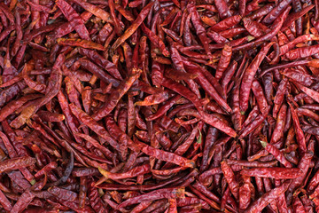 Fototapeta premium Pile of chilli