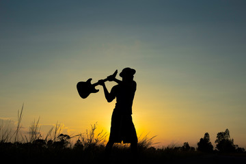 shadow smashed guitars.