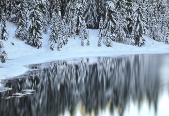 Gold Creek Pond