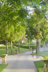 early morning in park