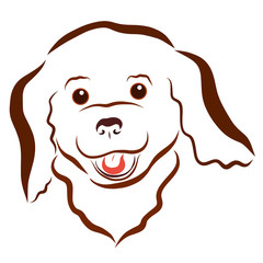 Cheerful fluffy puppy, happy pet, head, pattern wavy lines