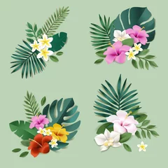 Fotobehang Tropische Bladeren Set of of nature and flower elements. Vector illustrations for natural products, cosmetics, beauty and spa, label and packaging design, web design, marketing material.  © PureSolution