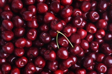 Fresh sweet cherry fruit on the market as background 