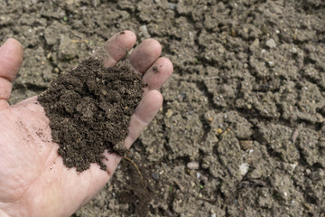 Soil, cultivated dirt, earth, ground, brown land background. Organic gardening, agriculture. Nature closeup. Environmental texture, pattern. Mud on field.