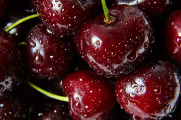 juicy red cherry with drops of water on berries