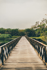 Vertical shot of a misty wooden bridge stretching into the vanishing point with muskeg pond on the sides and the jungle forest in the distance, overcast summer day, Praia do Forte, state Bahia, Brasil