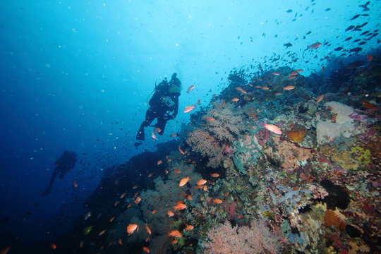 Female Scuba Diver and Colorful reef fish blue ocean and bright coral underwater