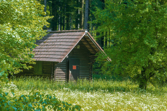 Einsame Holzh&uuml;tte steht im Wald vor Wiese