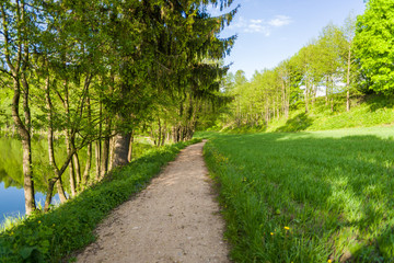 Droga pośród łąk i drzew w Szurpiłach pod Górą Zamkową