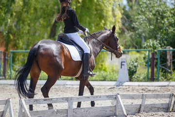 Young girl riding horse on equestrian competition. Equestrian dressage sport background with copy space