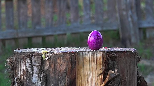 Food preparation crushed by a hammer giant, slow motion