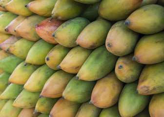 Fresh colorful tropical mangoes. Fruit background. (selective focus)