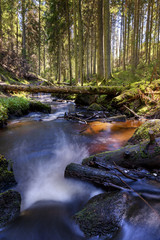 Brook in forest 2