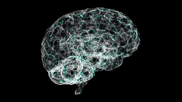 3D digitally connected brain learning plexus