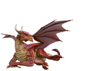red dragon in a white background