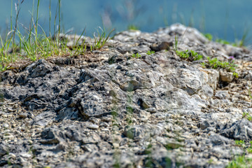 Fototapeta na wymiar Rocks on a mountain overgrown with grass