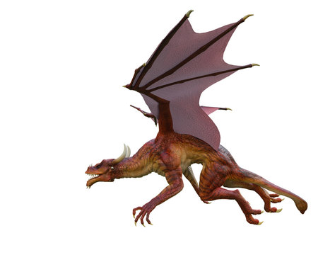 red dragon in a white background