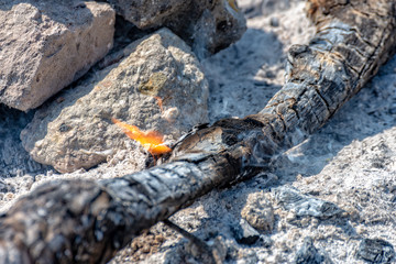 Burning branch in a campfire