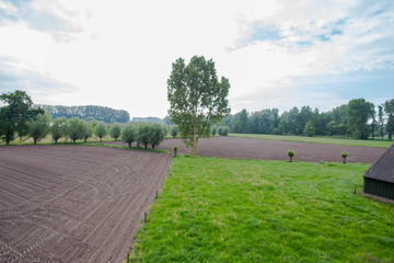 Agricultural landscape with green fields and meadow ariel view