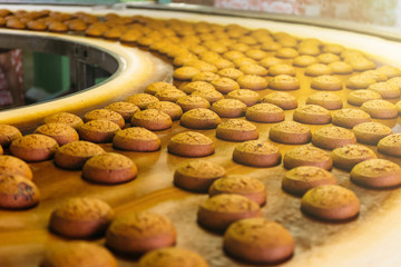 Automatic bakery production line with sweet cookies on conveyor belt equipment machinery in confectionary factory workshop