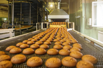 Automatic bakery production line with sweet cookies on conveyor belt equipment machinery in...