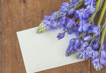 Spring greeting card with bunch of blue hyacinth flowers and paper on beautiful wooden backgorund top view