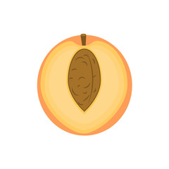 Illustration of an apricot in a cut