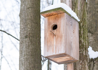 care of wild birds starlings tits wooden house against the backdrop of winter forest
