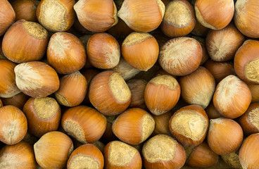 hazelnut whole walnut brown brown shell set pattern many nutwood