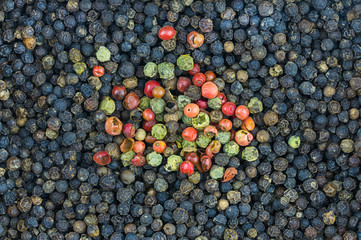 background black pepper spicy traditional seasoning with mix peppers pink white bright spot