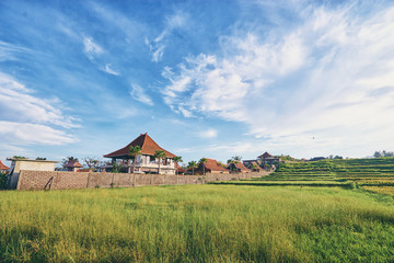 Fototapeta na wymiar Beautiful landscape with traditional balinesse houses and rice field.