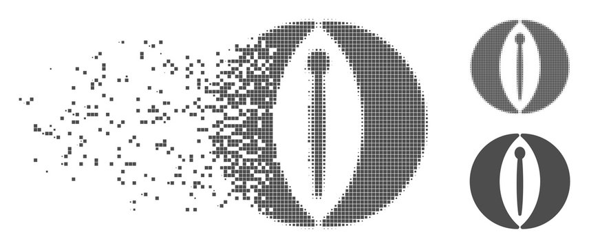 Grey vector female genitals icon in fractured, pixelated halftone and undamaged whole versions. Disappearing effect uses square particles. Fragments are arranged into dissolving female genitals icon.