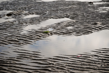 Mud flats when the tide is out