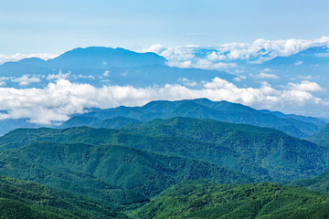 Fototapeta premium 新緑の山