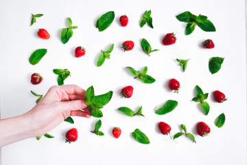Strawberries and fresh mint on white background with female hand holding mint leaf