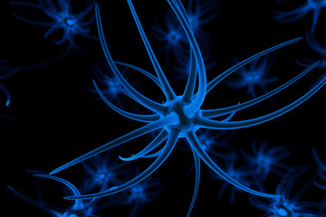 3D Rendering, Brain cells and neurons