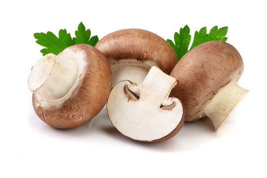 Royal Brown champignon with half and parsley leaf isolated on white background