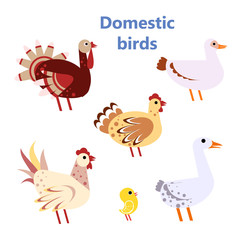 Set of Domestic birds white