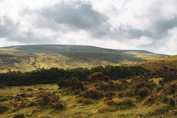Fototapeta na wymiar Dartmoor National Park