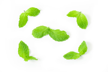 Fresh spearmint leaves isolated on the white background. close up beautiful mint, peppermint.
