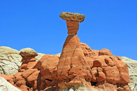 Red toadstool and blue sky, Utah
