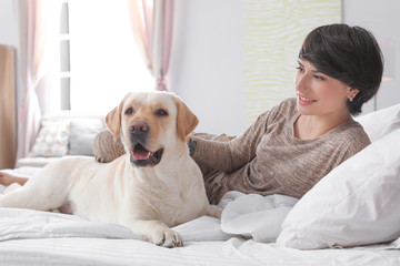 Adorable yellow labrador retriever with owner on bed indoors
