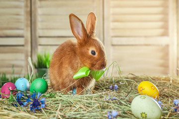 Adorable Easter bunny and dyed eggs on straw