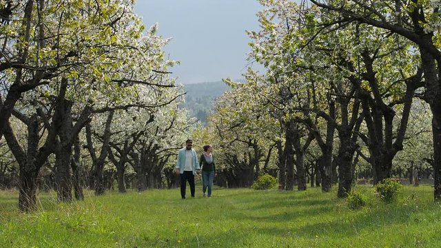 A young couple in love stroll together through a beautiful forest with their pet dog. In slow motion.