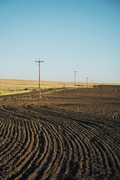 Driving Country Roads